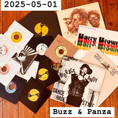 2025-05-01 Nice Up Radio - Vinyl Selection by Panza & Buzz