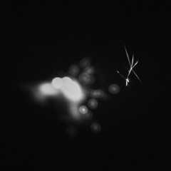 xstasyslim- loss (other, boost, somaiki)