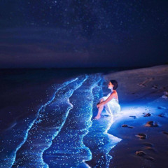 ESTRELAS REFLETIDAS NO MAR
