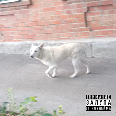 Тимофей Турбин (Творческий кризис) (feat. Pussy vor)