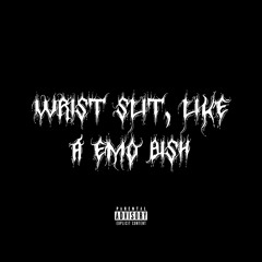 Wrist Slit, Like A Emo Bish (ft. 2$lick, Prod. NetuH).