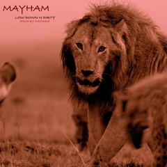 Mayham- L.D.D