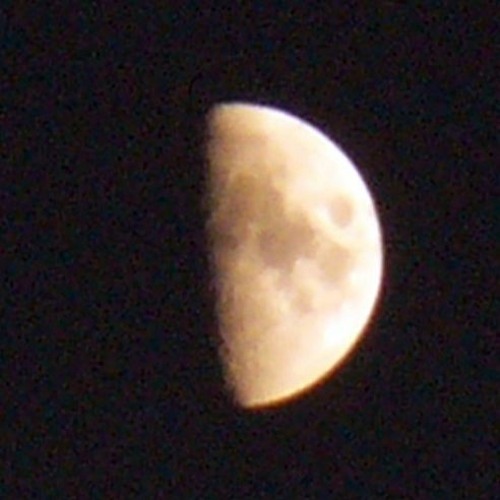 Rises The Moon Cover - (SoapBones)