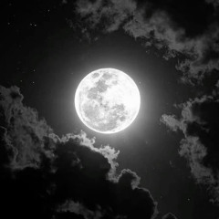 ZAYN - Dusk Till Dawn ft. Sia Cover By Eltasya Natasha.mp3