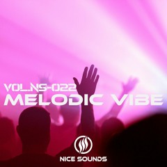 Melodic Vibe | Nice Sounds-Vol-022 | Deep House Mix | Chill House Music