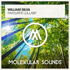 William Silva - Favourite Lullaby (Extended Mix)
