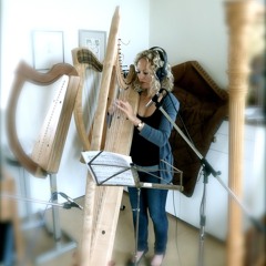 Bray harp online