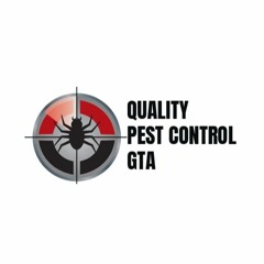 Pest Control In Newmarket
