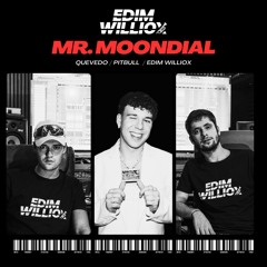 MR. MOONDIAL - Quevedo ft. Pitbull (EDIM WILLIOX Festival Mix)