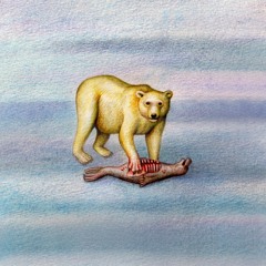 The Auditory Sanctuary