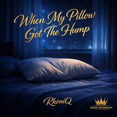 WHEN MY PILLOW GOT THE HUMP