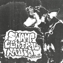SWAMP CENTRAL RADIO: VOLUME I