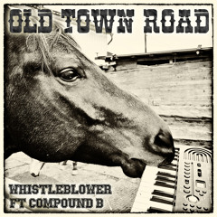 Old Town Road (Instrumental Dubstep Remix Extended)