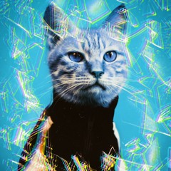 nastyxgold x mi$ko - stále high