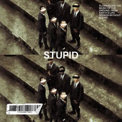 STUPID