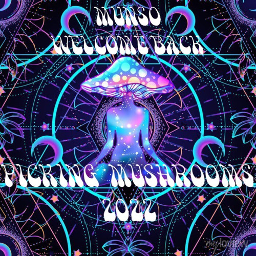 Picking Mushrooms (2022)