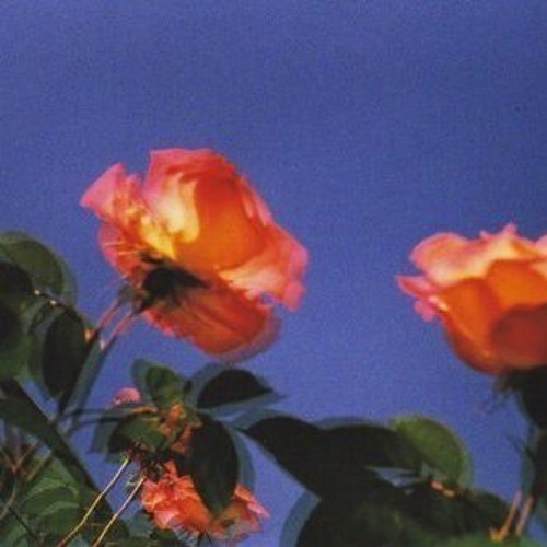 Ghost In My Dreams [prod. Splashgvng & Saint Tomorrow]