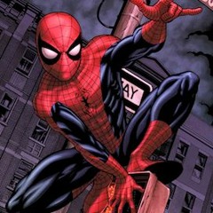 Make everyone forget Peter Parker - (L)MIRL - Deftones