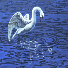 Silent O Moyle - Sairie