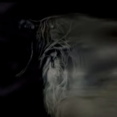 [MV in desc] caught up with ghul .xomio