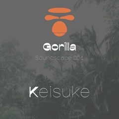 Gorilla Soundscape 001 - Keisuke