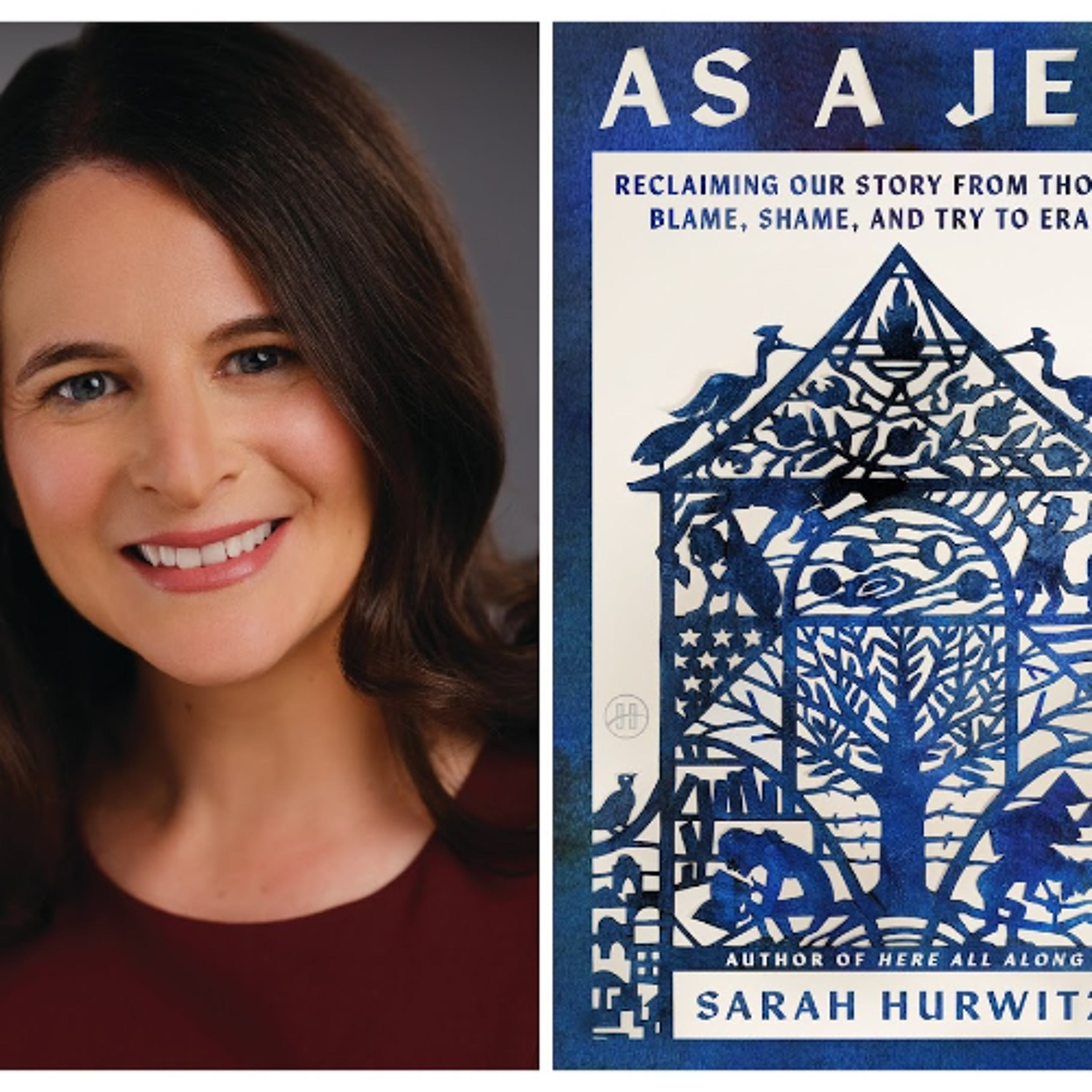 EpisodefifteenSarahHurwitz episode artwork