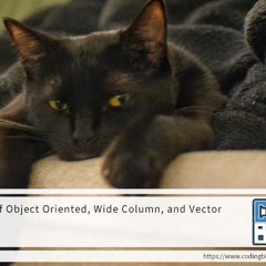 Overview of Object Oriented, Wide Column, and Vector Databases