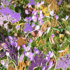 Minimally Viable Spring (Disquiet0530)