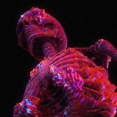 spooky scary skeletons