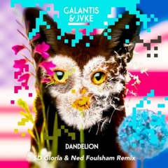 Galantis & JVKE Dandelion (Ned Foulsham X SD Gloria Remix)