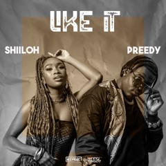 Shiiloh & Preedy - Like It [Prod by Stadic & Jonny Blaze]