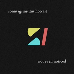 Sonntagsinstitut Hotcast🔥 #14 w/ not even noticed