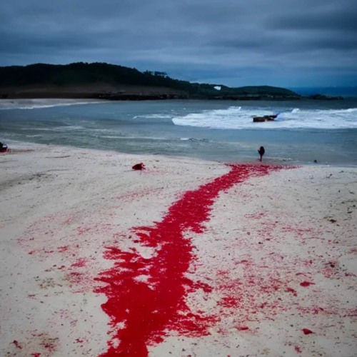 Blood on Rocks ft. B1benn [prod. kie]