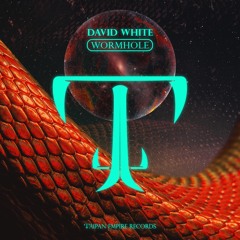 DAVID WHITE - Wormhole (Radio Edit)