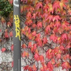 flou