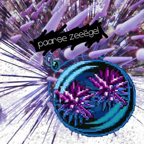 Meow Meow vs Jefflocks - Paarse Zeeëgel