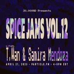Spice Jams Vol. 12 - T.Wan b2b Samira Mendoza b2b 30000AD
