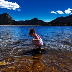 Take Me to Star Trek