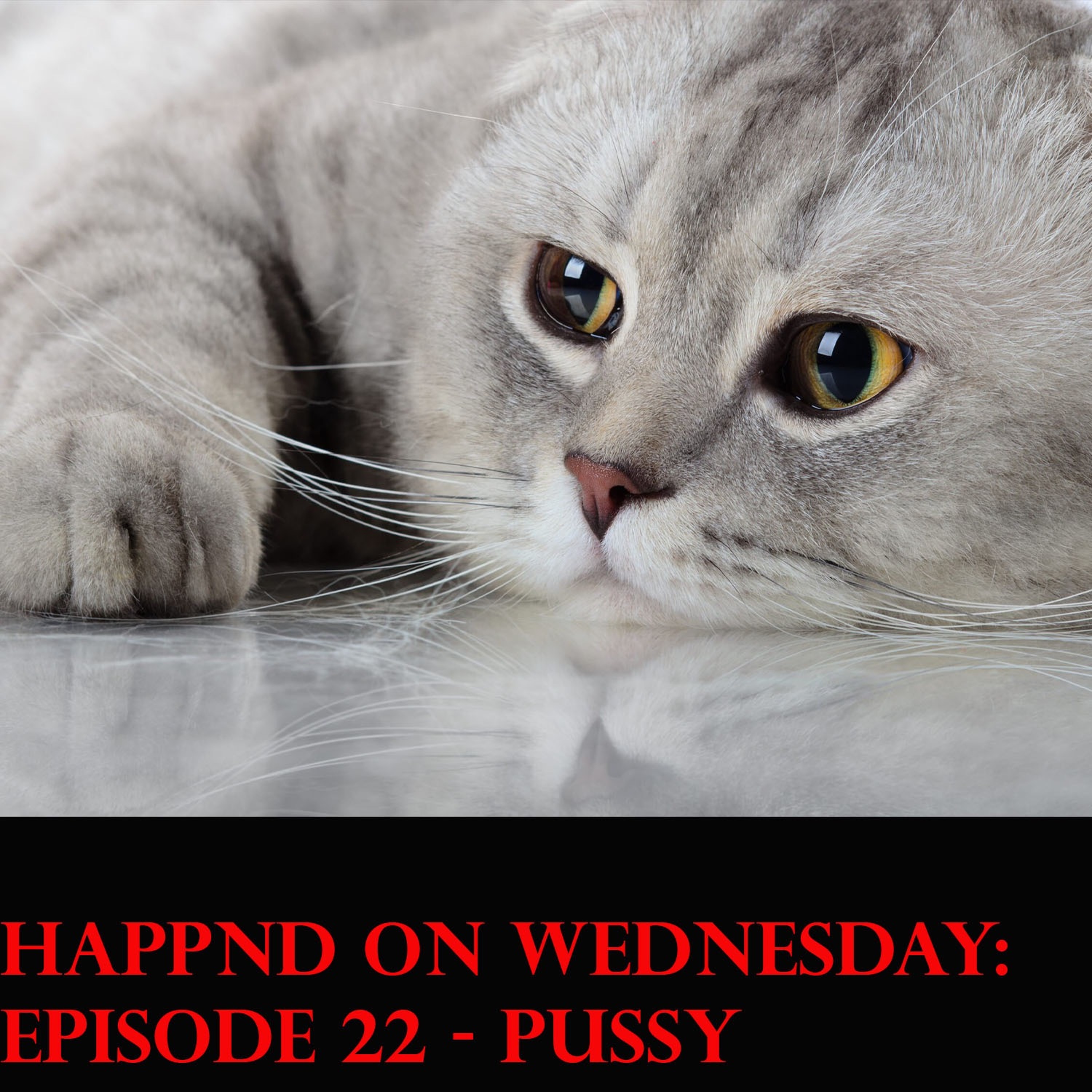 It Happnd on Wednesday