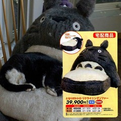 totoro