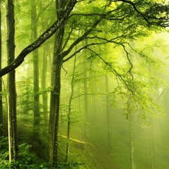 올데이뮤직 hd audio background {(FREE DOWNLOAD)}