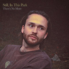 Still, In This Park