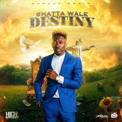 Shatta Wale - Destiny