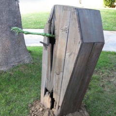 this m a straight grave digger