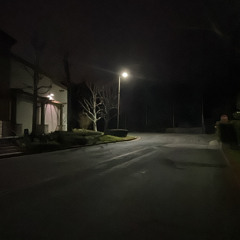 IMMOBSF
