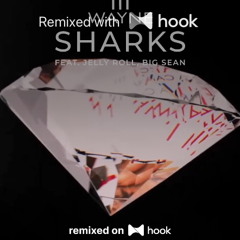 Lil Wayne - Sharks (feat. Jelly Roll, Big Sean) (@kookap Hook Remix)