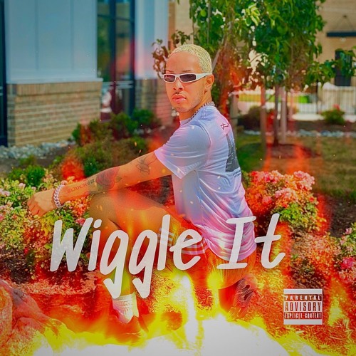 Wiggle It - Mark