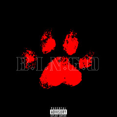 B.I.N.G.O