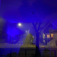 Veils_demo_v1
