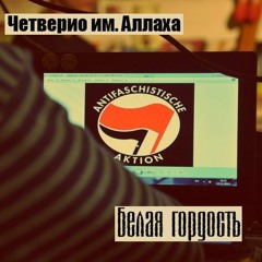 Ты д-б